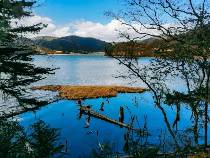 WagonBet Kaszinó Mobilalkalmazás